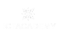 ICT Academy logo